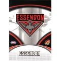 2007 Supreme - Common Team Set - Essendon Bombers (12)