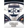 2007 Supreme - Common Team Set - Geelong Cats (12)