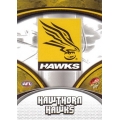 2007 Supreme - Common Team Set - Hawthorn Hawks (12)