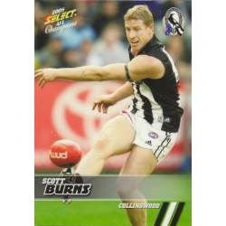 2008 Champions - Common Team Set - Collingwood Magpies (12)