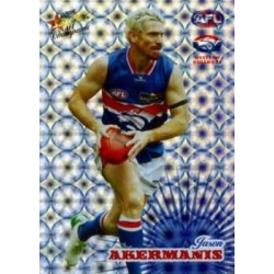 2008 Champions - Holographic Foil Team Set - Western Bulldogs (12)