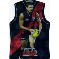 2009 Champions - Holographic Guernsey Team Set - Essendon Bombers (11)