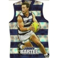 2009 Champions - Holographic Guernsey Team Set - Geelong Cats (11)