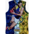 2009 Champions - Holographic Guernsey Team Set - West Coast Eagles (11)