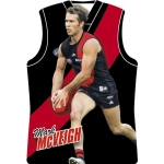 2010 Champions - Holographic Guernsey Team Set - Essendon Bombers (11)