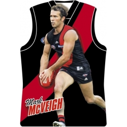 2010 Champions - Holographic Guernsey Team Set - Essendon Bombers (11)