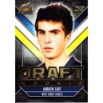 2011 Champions - Andrew GAFF (Eagles)