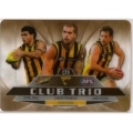 2012 Champions - Club Trio Mirror - HAWTHORN