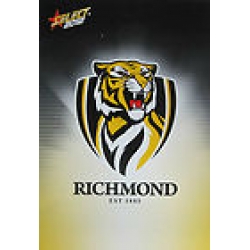 2012 Champions - Common Team Set - Richmond Tigers (12)