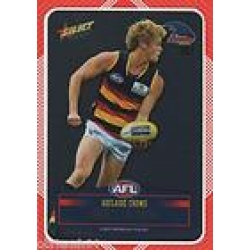 2012 Champions - DIY Laser Stickers - Silver - Adelaide Crows (12)