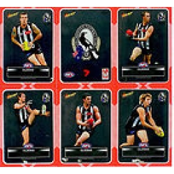 2012 Champions - DIY Laser Stickers - Silver - Collingwood Magpies (12)
