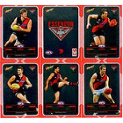 2012 Champions - DIY Laser Stickers - Silver - Essendon Bombers (12)