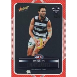 2012 Champions - DIY Laser Stickers - Silver - Geelong Cats (12)