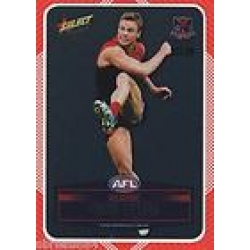 2012 Champions - Peal & Reveal Card - Gold - Melbourne Demons (12)