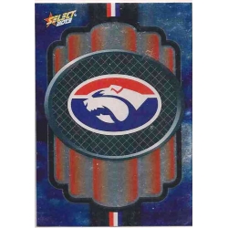 2013 Champions - Silver Parallel Team Set - Western Bulldogs (12)