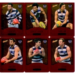 2014 Champions - Gold Foil Parallel Team Set - Geelong Cats (12)