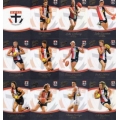 2014 Honours - Common Team Set - St.Kilda Saints (12)